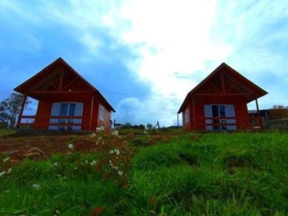 Bom Jardim da Serra Cabin | Magia da Geada