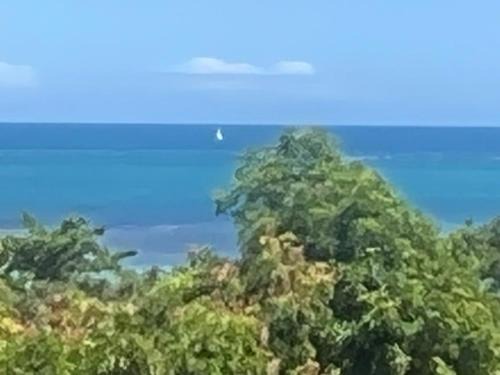 Ilha de Boipeba House | Maison das Artes morere