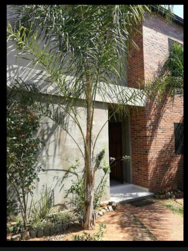 Luque Apartment | Mandala Apartments