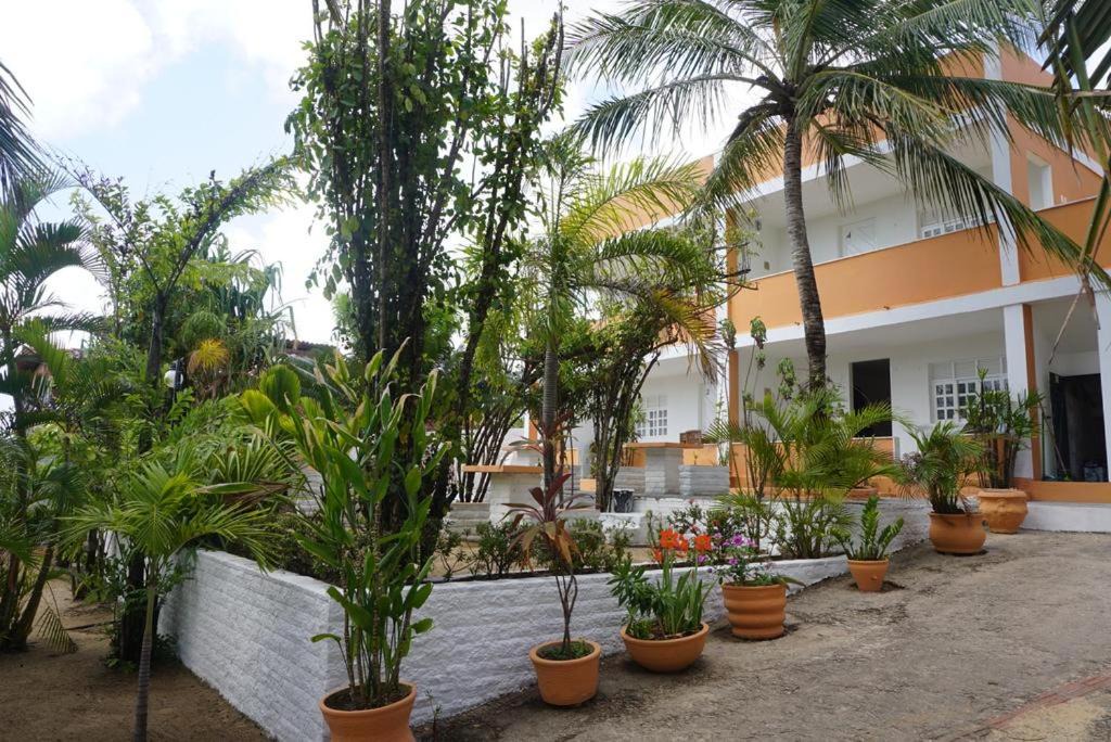 Maracajau Apartment | Mandala Apt 1 Maracajaú
