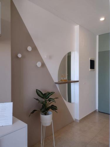 Cipolletti Apartment | Monoambiente ACACIAS I