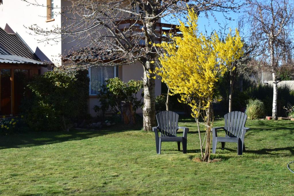 Dina Huapi Apartment | Montalto II