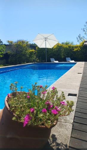 San Jose del Rincon House | ParaisolaRinconada