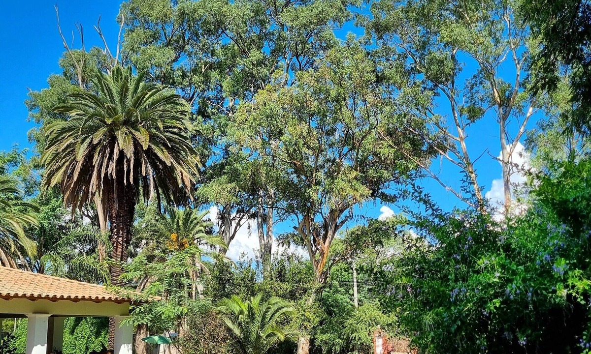 Salta House | Posada El Prado