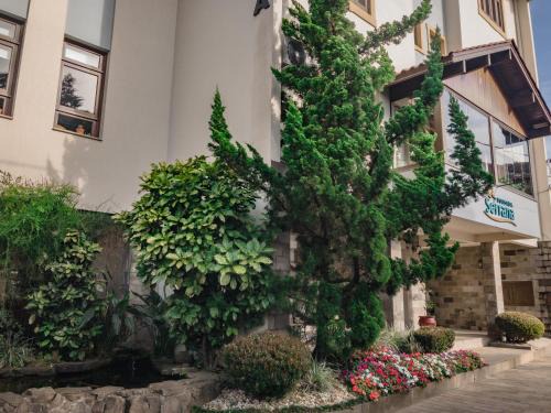 Pousada da neve Hotel | Pousada Serrana
