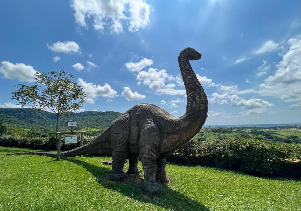 Sao Pedro Hotel | Pousada Vale do Dinossauro