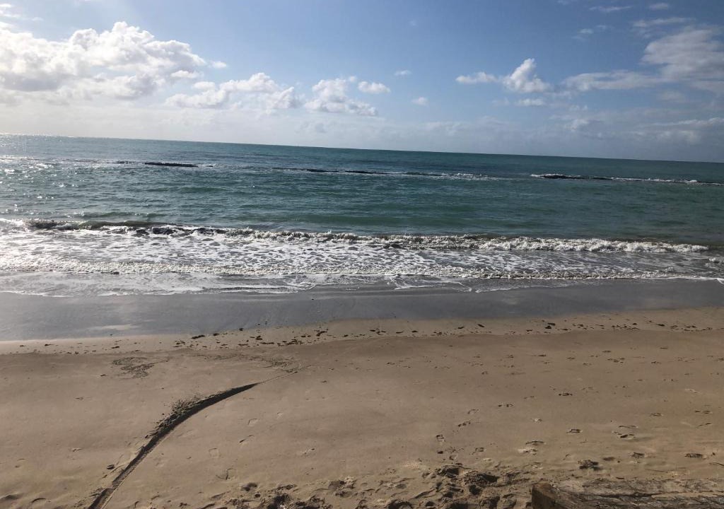 Tamandare Apartment | Praia Carneiros Flat Hotel
