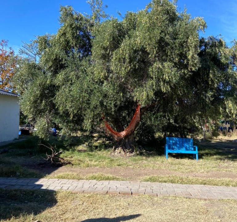 Cuadro Nacional House | Refugio agroecológico en San Rafael