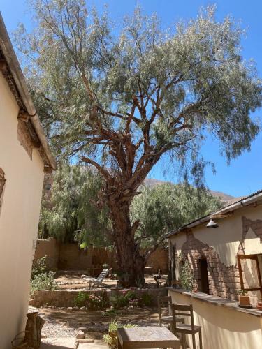 Tilcara Bed & Breakfast | Refugio Caro Cox