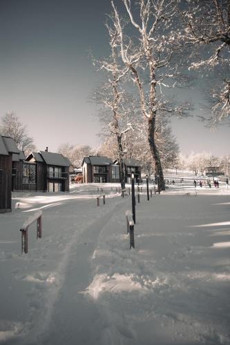 Lanin National Park House | RentUp - Vila Master Familiar en Las Pendientes