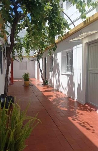 Piriapolis Apartment | Ronald