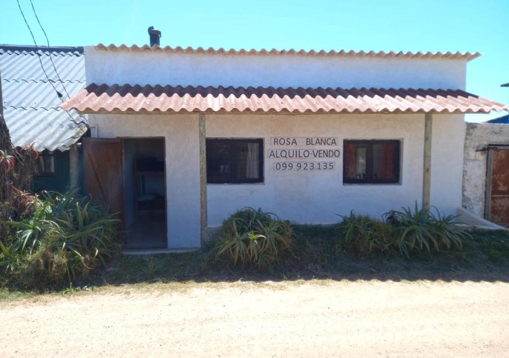 Aguas Dulces House | Rosa blanca