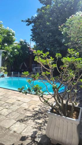 Maria Farinha House | Só Alegria