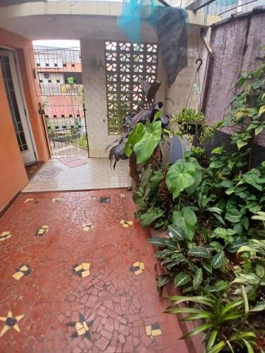 Sao Paulo House | Samsarah House