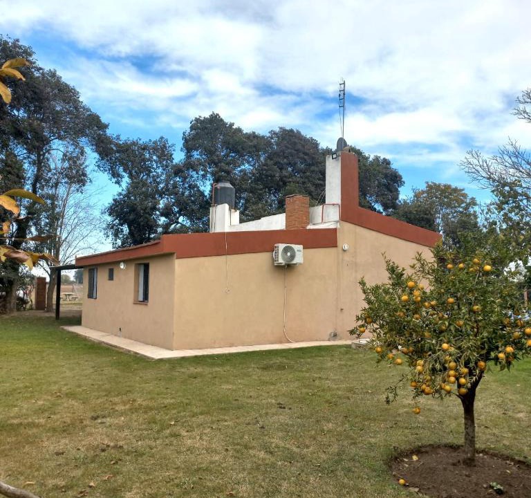 Alvarez House | Siempre Verde