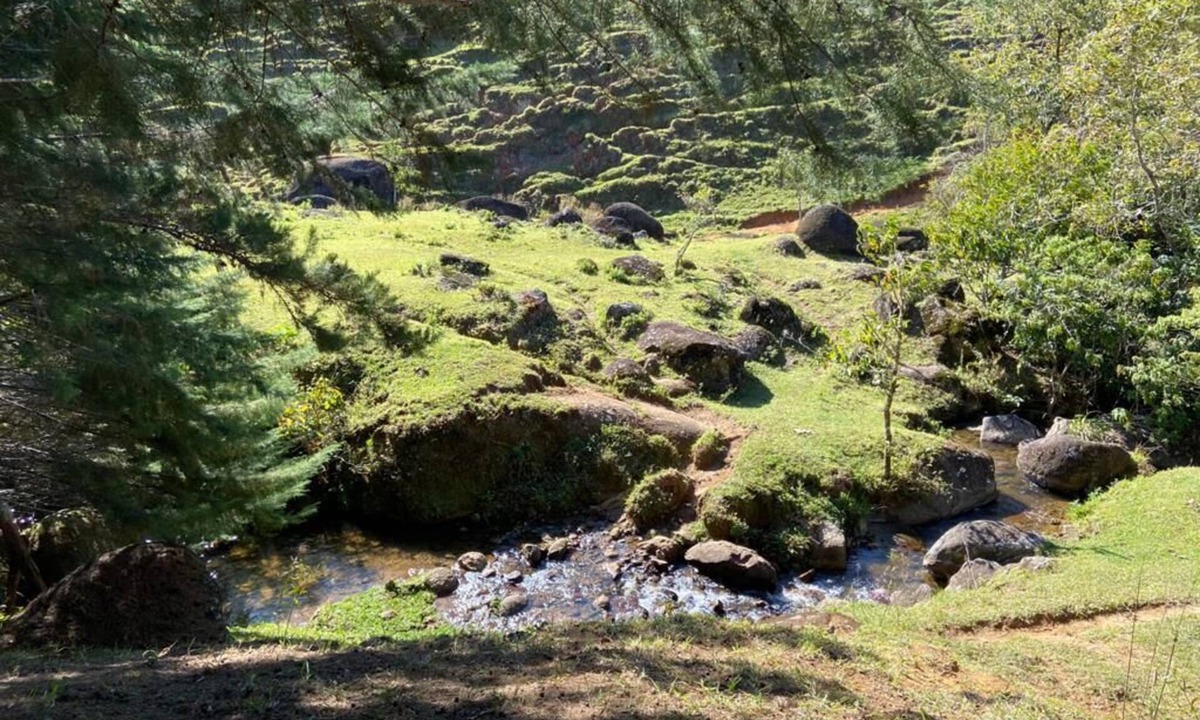 Sao Francisco Xavier House | SITE IN SERRA DA MANTIQUEIRA with Wi-Fi