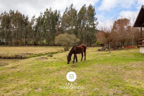 Vacas Gordas House | Sitio da Neblina - Urubici/SC