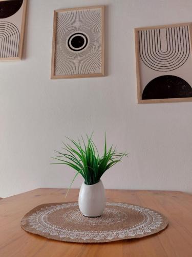 San Miguel del Monte Apartment | Sol de Monte