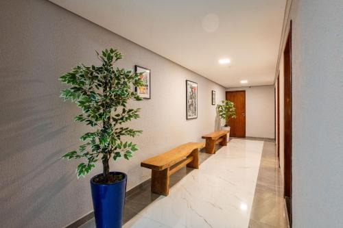Caruaru Apartment | Studios Modernos, Próximo ao Shopping Pátio & Feira