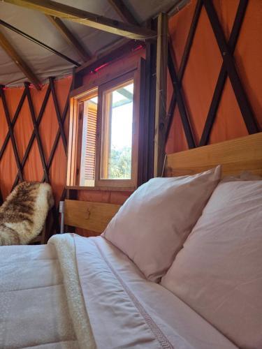 Vacas Gordas Other | Tenda Yurt aconchegante O Triskel
