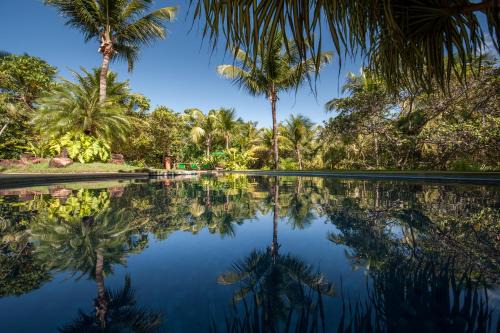 Pipa Hotel | Toca da Coruja - Eco Luxury Retreat