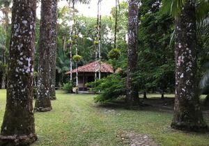 Casa de Cambury