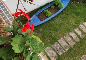 Casa em Bombinhas, zimbros in Bombinhas
