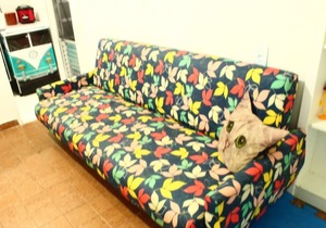Ocian Center 500 meters from the Beach, WI-FI, Cozy Family Studio