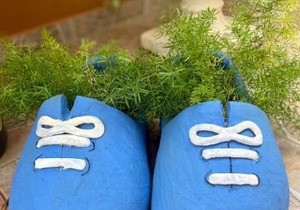 Recanto Toca das Plantas de Ilhabela II
