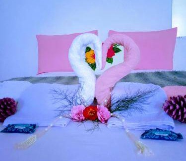 Botucatu Bed & Breakfast | 20 m² Bed and breakfast ∙ 2 guests