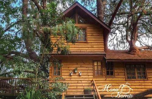 Campos do Jordao Bed & Breakfast | 20 m² Bed and breakfast ∙ 5 guests