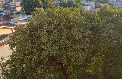 Alvinopolis Bed & Breakfast | 20 m² Bed and breakfast ∙ 5 guests