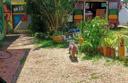 Lagoinha Hostel | 20 m² Hostel ∙ 6 guests