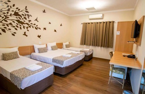 Olimpia House | 39 m² Motel ∙ 127 guests