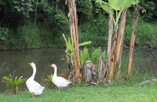 Cotia House | chacara cotia 3km animalia park