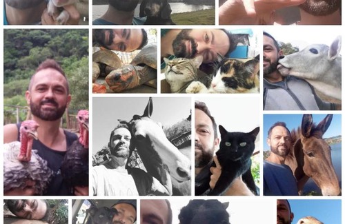Braganca Paulista Hostel | Hostel Santuário de Proteção Animal Filhos de Salomão