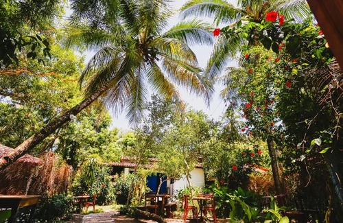 Velha Boipeba Other | Nosso Canto Hostel & Camping