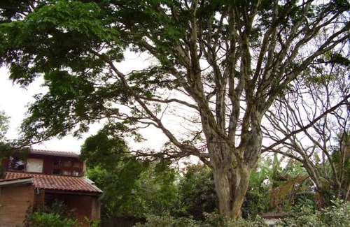 Campinas Resort | Private room ∙ 3 guests
