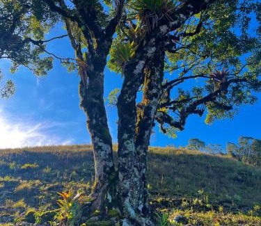 Cunha House | Sítio das montanhas