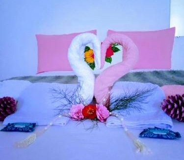 Botucatu Bed & Breakfast | 20 m² Bed and breakfast ∙ 2 guests