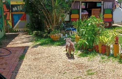 Lagoinha Hostel | 20 m² Hostel ∙ 6 guests