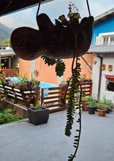Agua Branca Bed & Breakfast | 28 m² Bed and breakfast ∙ 4 guests