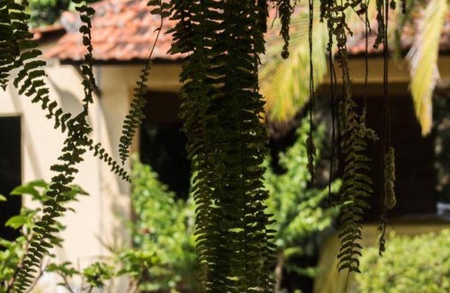 Mairipora Bed & Breakfast | 30 m² Bed and breakfast ∙ 2 guests