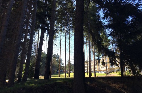 San Carlos de Bariloche Hotel | 4 Garden-View Rooms w/Breakfast Near Nahuel Huapi & Playa Del Centro