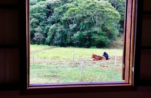Cunha Cottage | A lot of comfort and charm in the countryside!