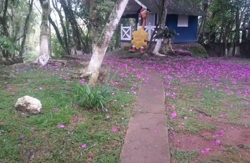 Ibiuna House | A warm and spacious place, just like Grandma's house.