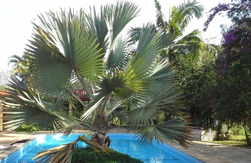 Jundiai House | ACCOMMODATES FAMILIES WITH CHILDREN AND ANIMALS