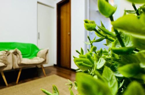 Guara Apartment | Aconchegante Apartamento de 2 quartos - Park Studios - Park Sul