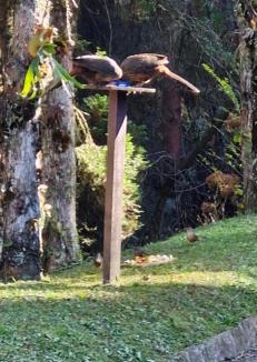 Vila Poran House | Aconchego na natureza