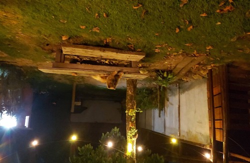 Barra Grande House | Address Café Do Mar House at 100 meters from the beach!